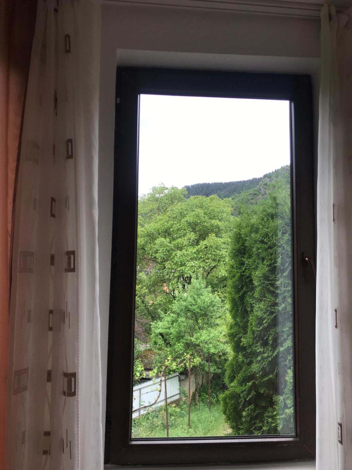 Zviad Guest House Bordschomi Exterior foto